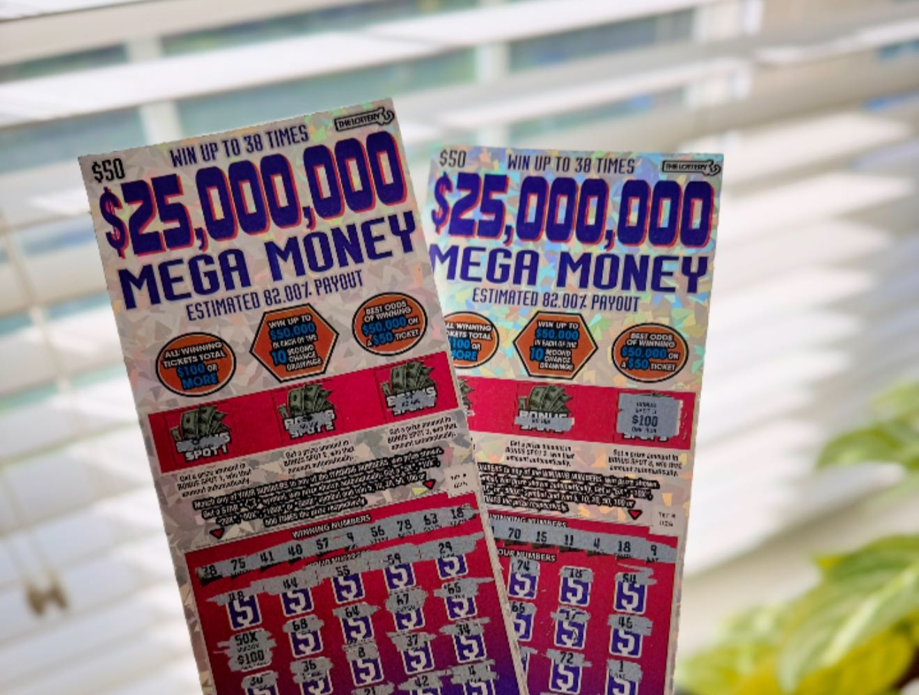 Mega Money Lottery